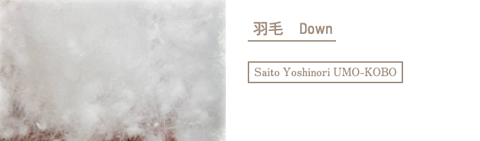 羽毛 Down｜Saito Yoshinori UMO-KOBO